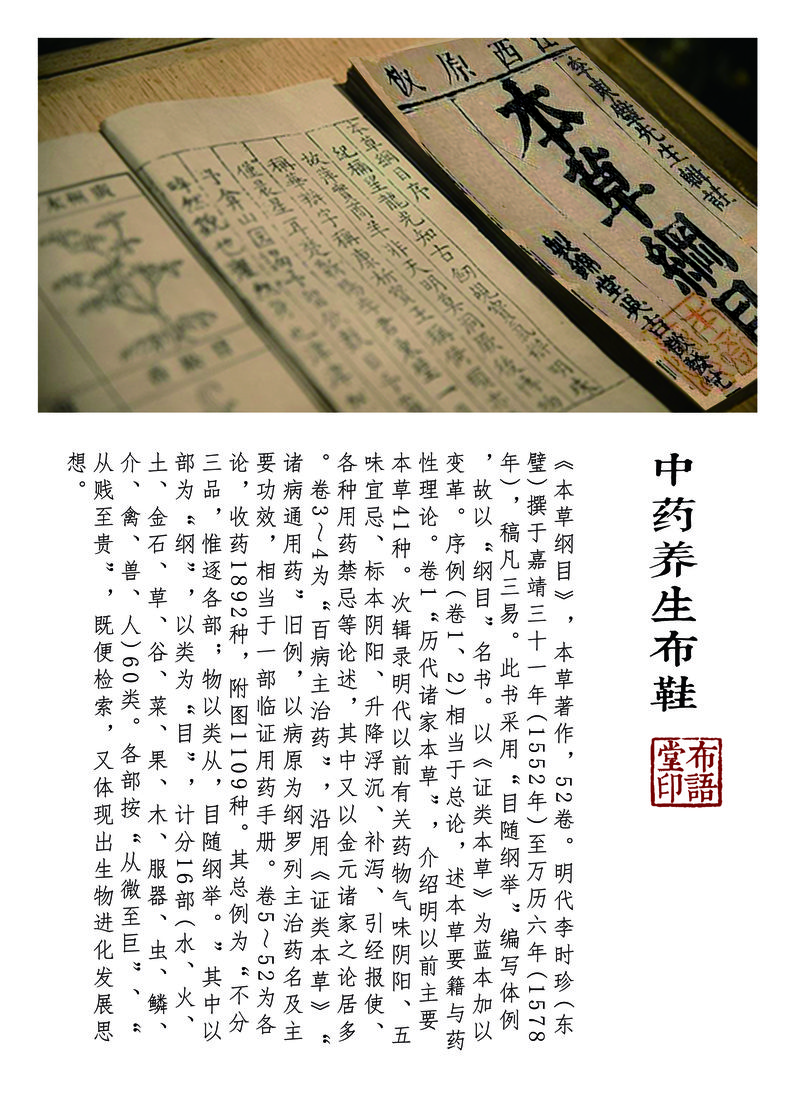 本草养生