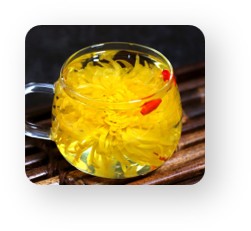 正熹堂有机皇菊